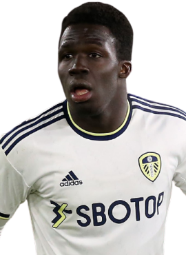 leeds-united-wilfried-gnonto
